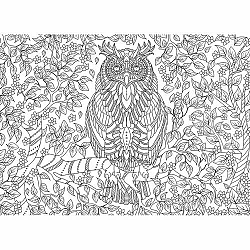 EUROGRAPHICS Color me puzzle Moudrá sova 500 dílků + sada na zavěšení